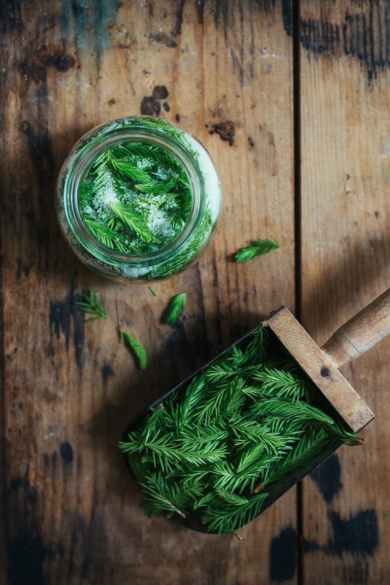 Nordic Spruce Syrup