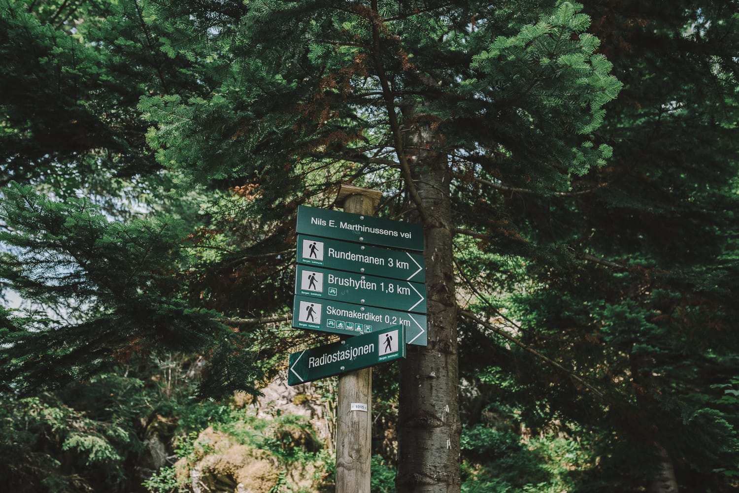 trail signs on Mount Fløyen