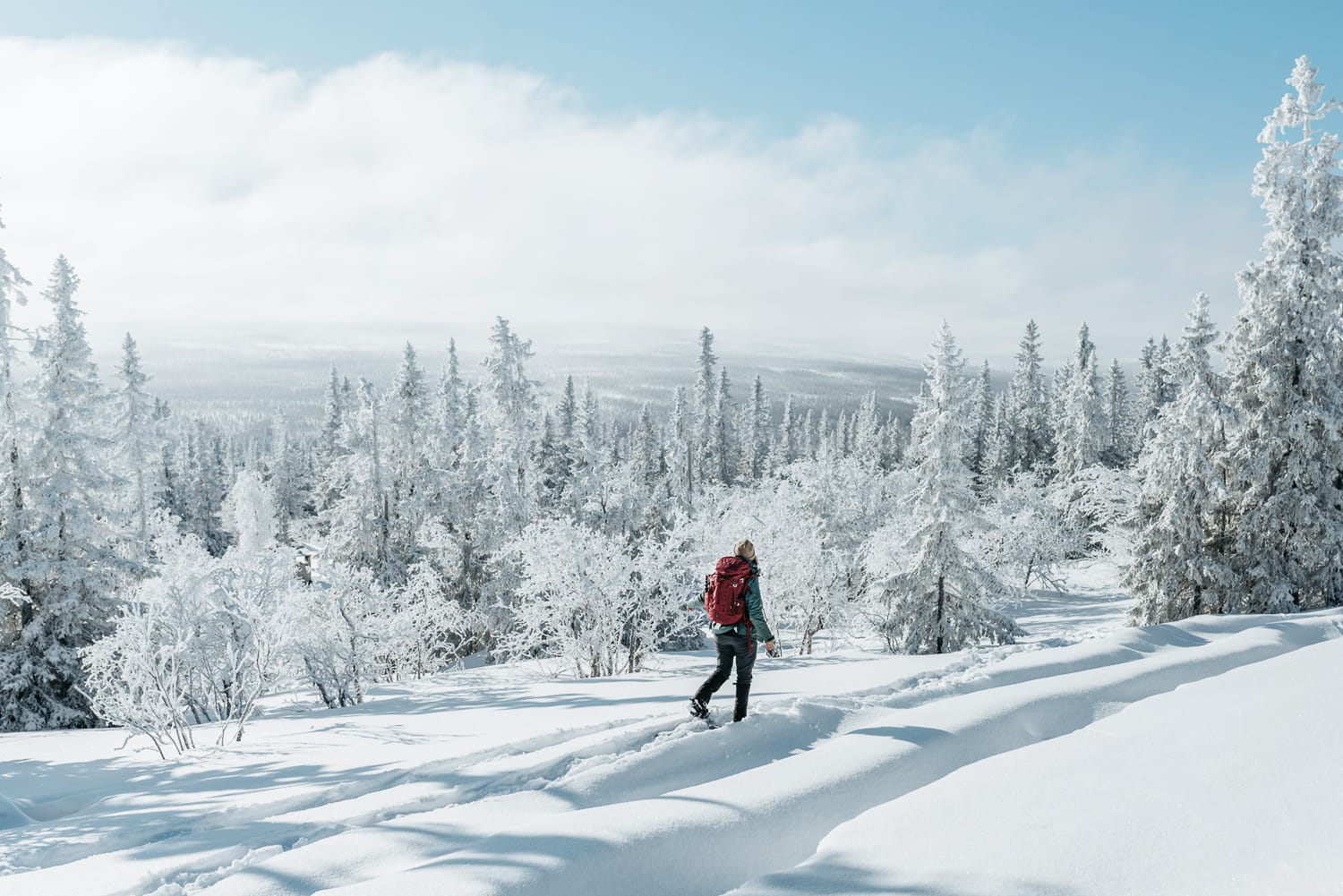 Woman snowshoeing in the forest