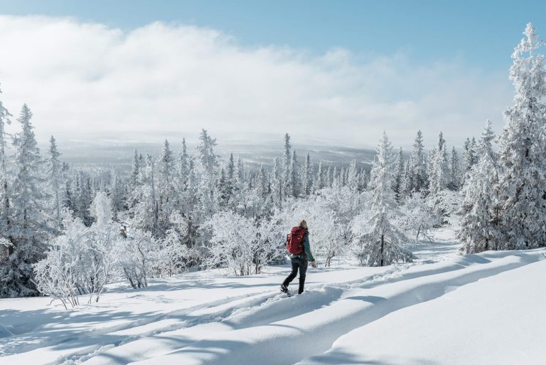 Cabin life and snowshoe hiking