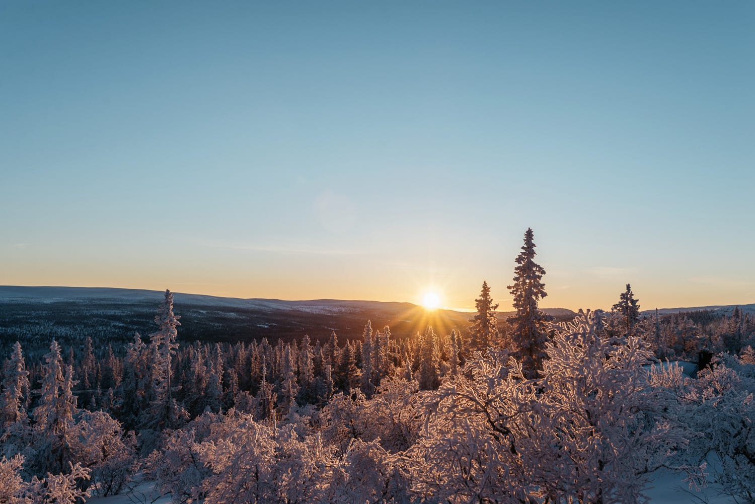 sunset over snow covered trees