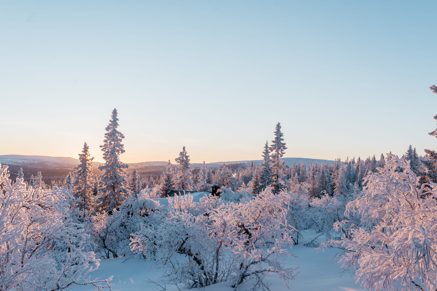 sun setting over a winter landscape
