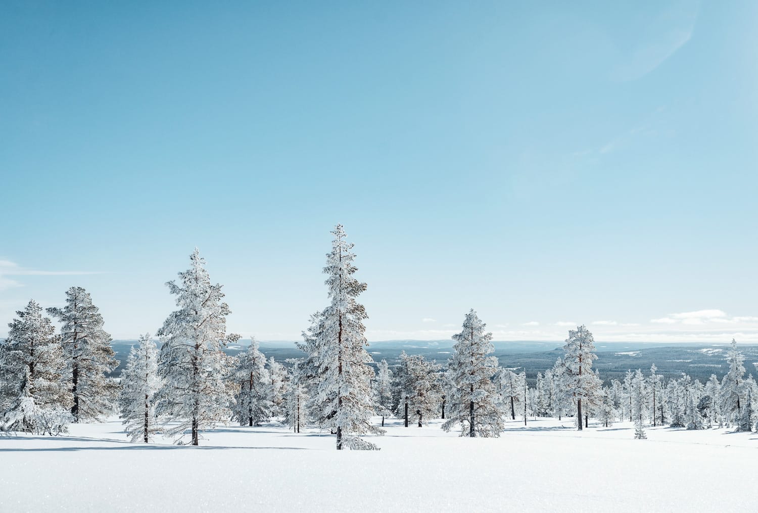 Winter landscape in northern Sweden