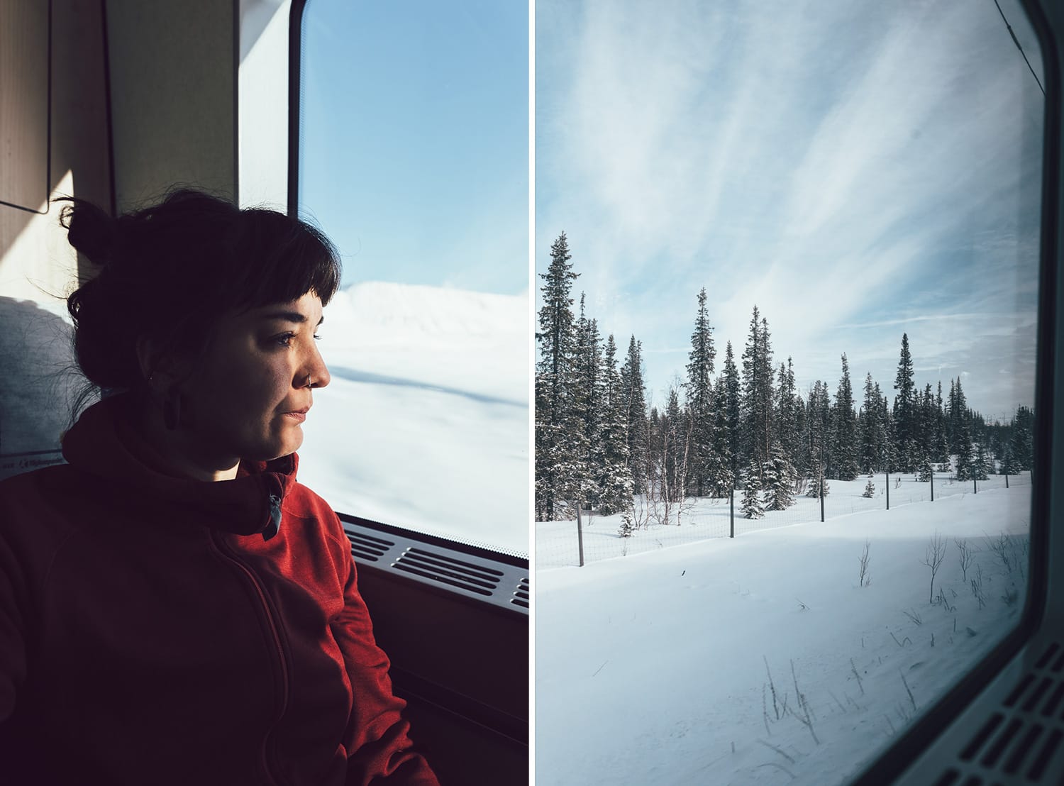 Woman on a train