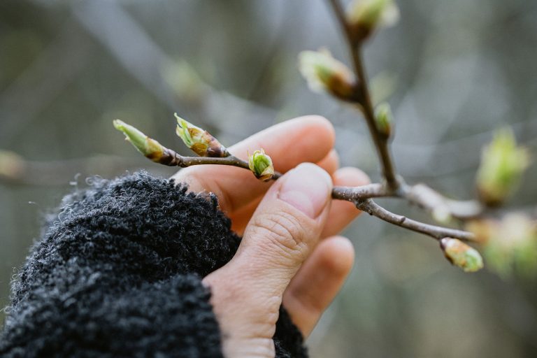 Mindfully exploring nature