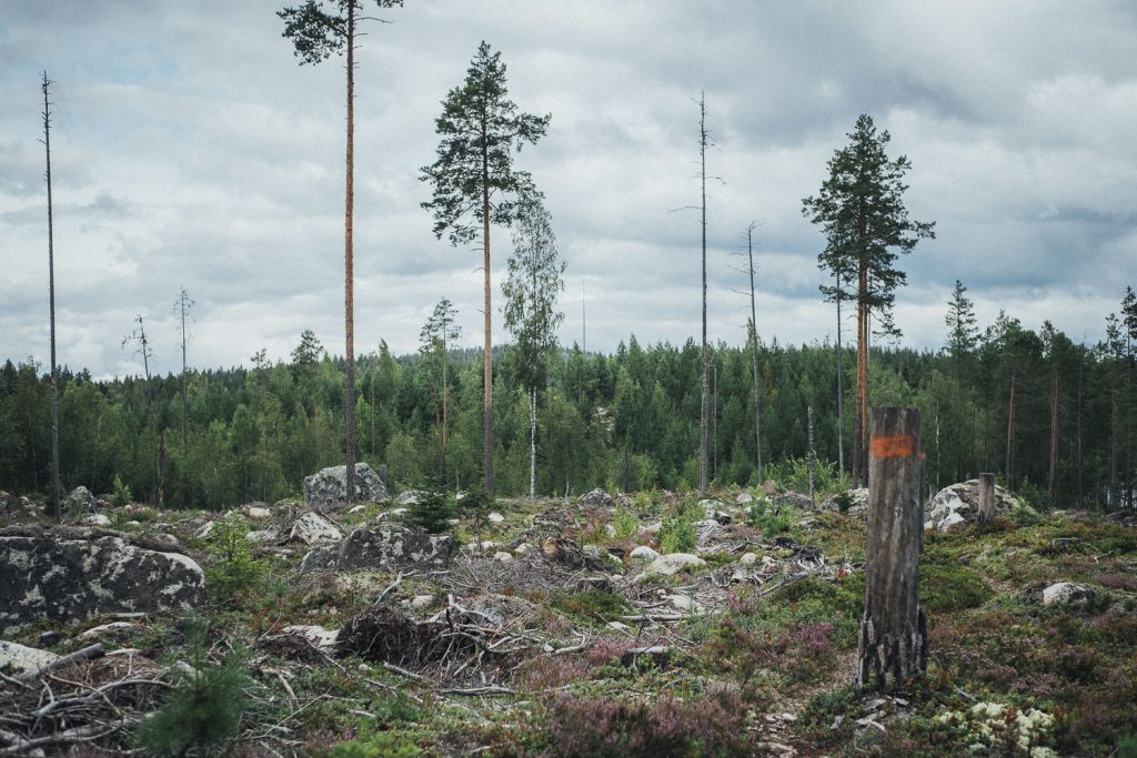 Dala Weekend - Vandra Storsjön Runt