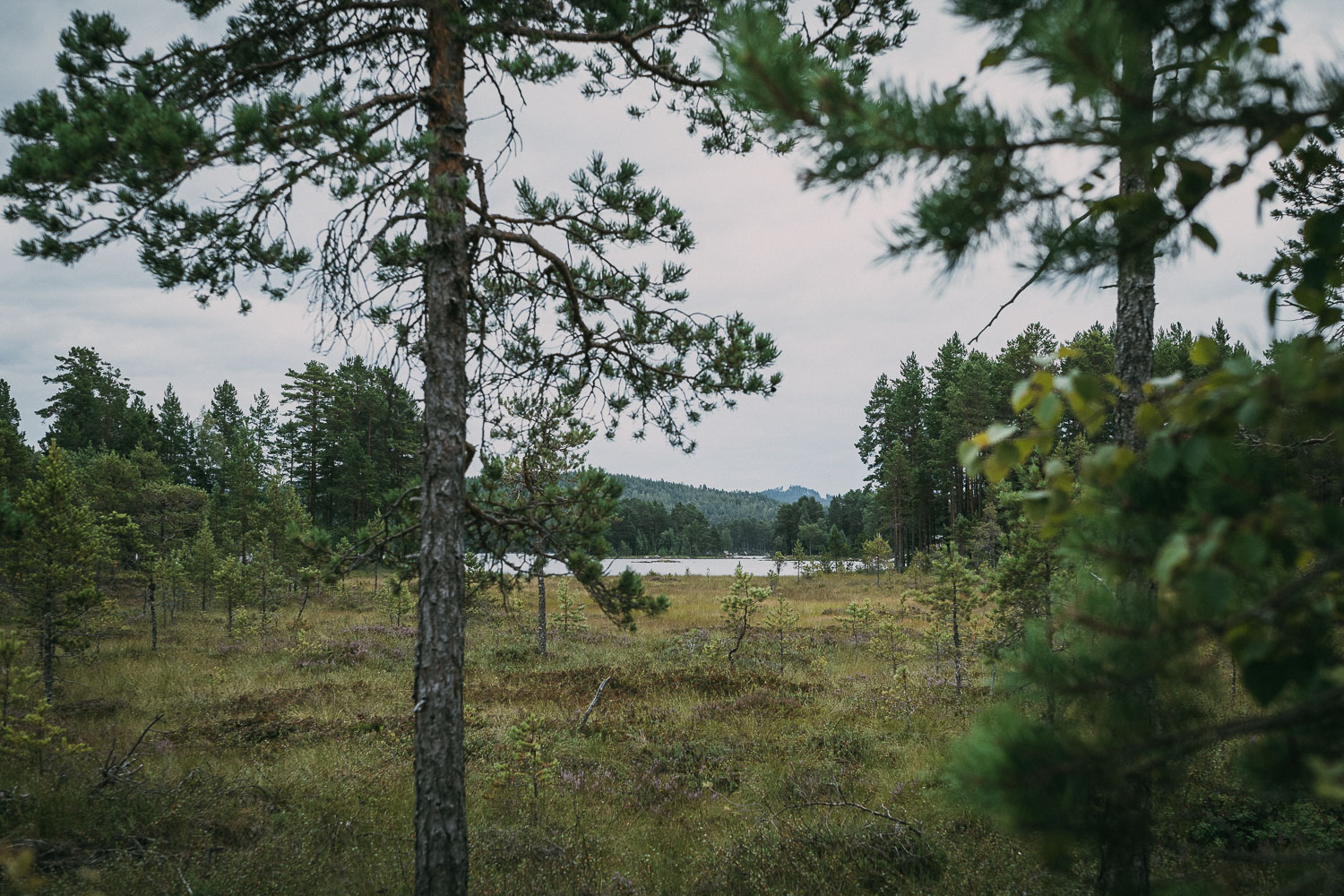 Dala Weekend - Vandra Storsjön Runt
