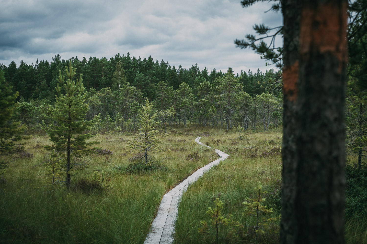 Dala Weekend - Vandra Storsjön Runt
