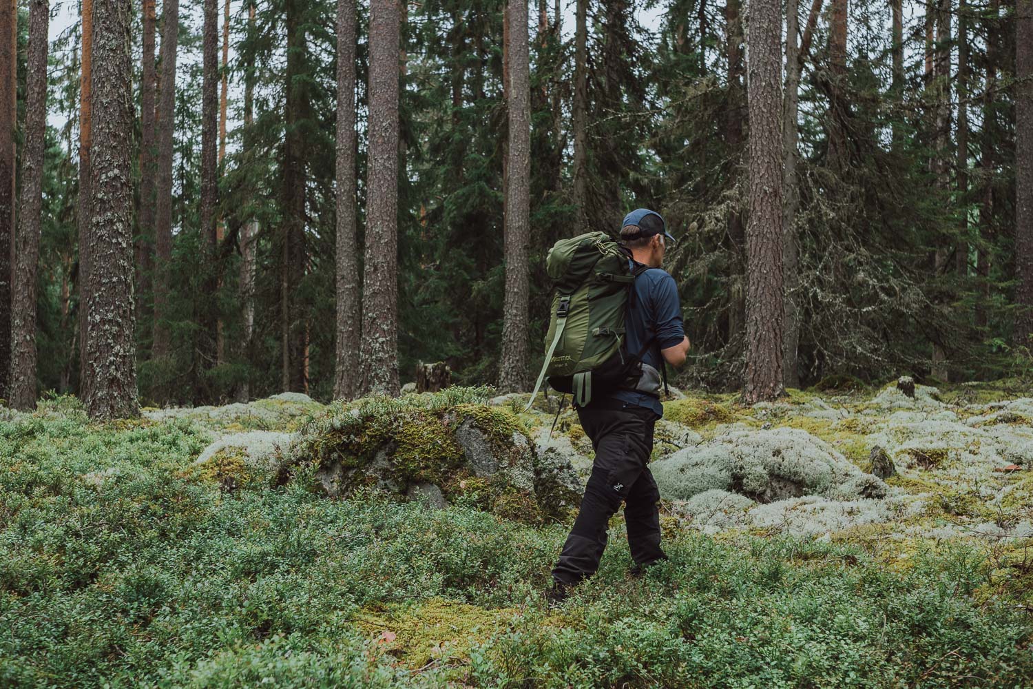 Weekend in Dalarna - Örjasänget Naturreservat
