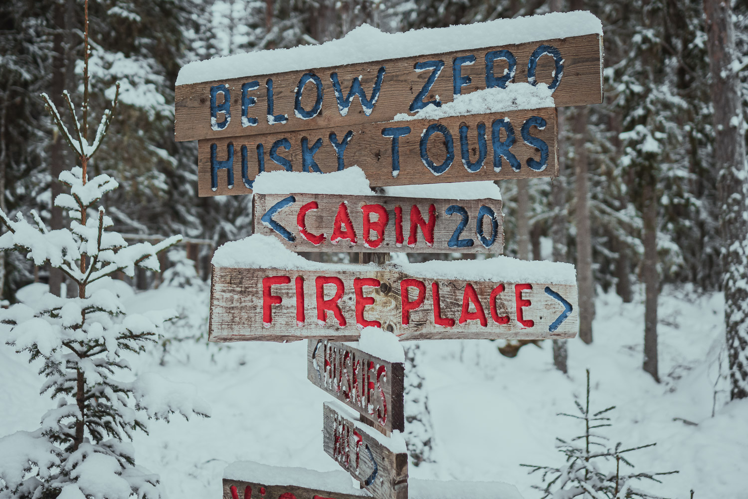 below zero husky tours