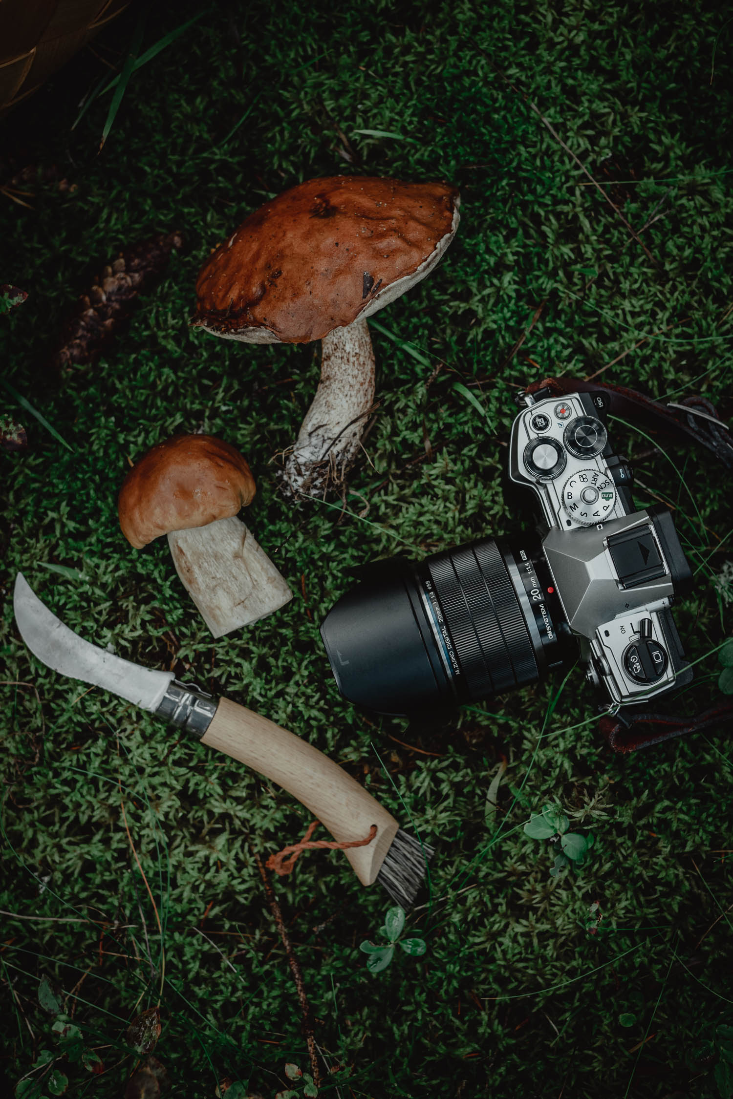 mushroom knife, boletes and camera on a mossy forest floor