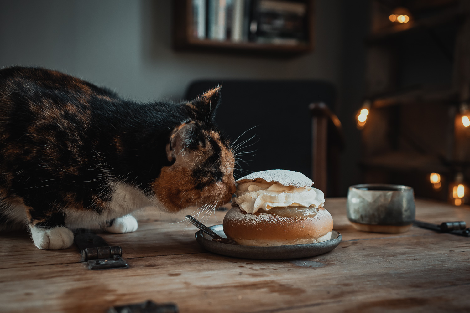 cat sniffing a pastry