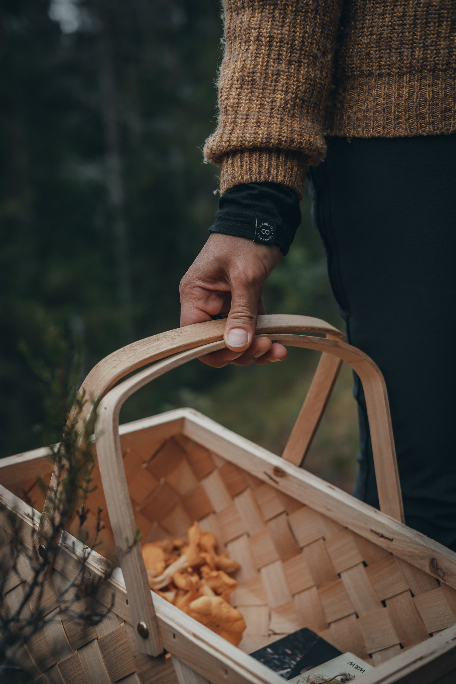hand holding mushroom basket