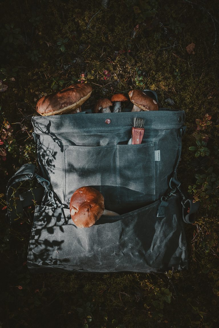 Mushroaming And Forest Bathing