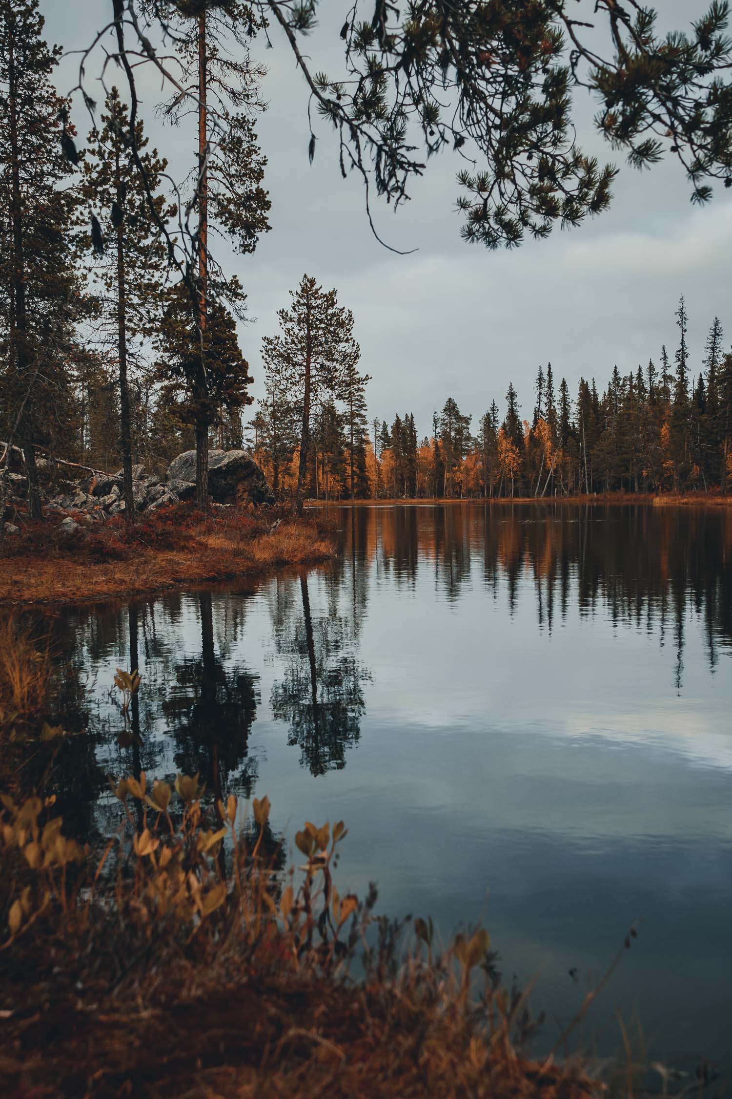 lake and autumn coloured forest