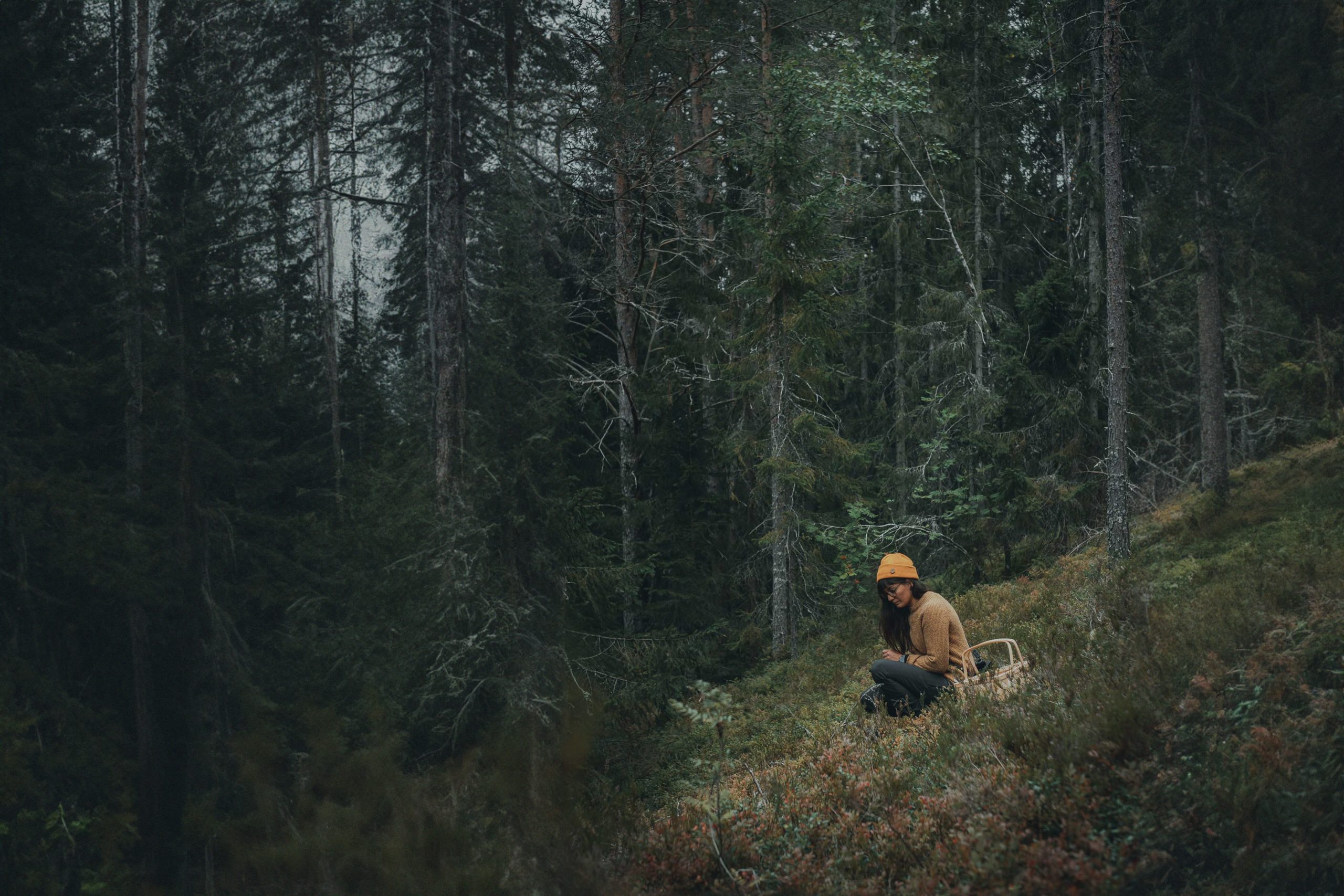 Woman foraging for mushrooms in a Swedish forest