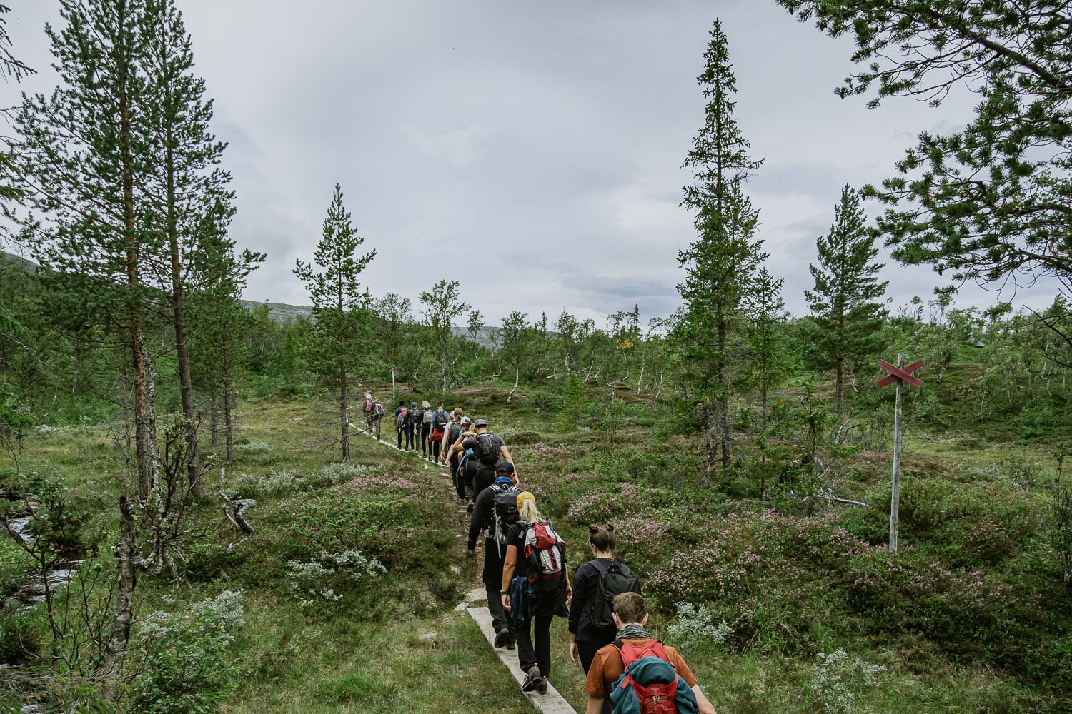 line of people hiking through nature