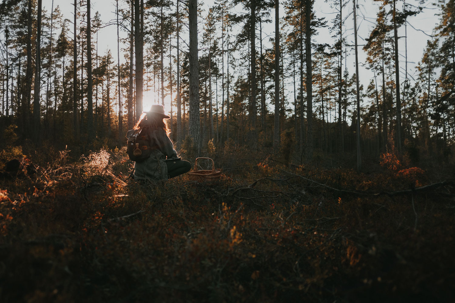 forager in the forest during sunset