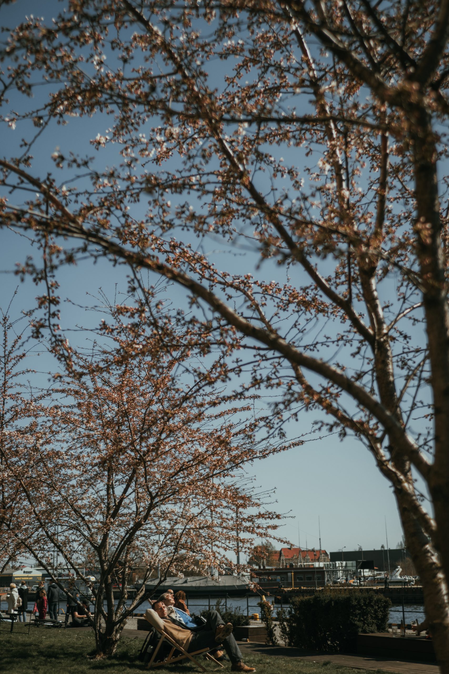 Spring in Gdansk, Poland