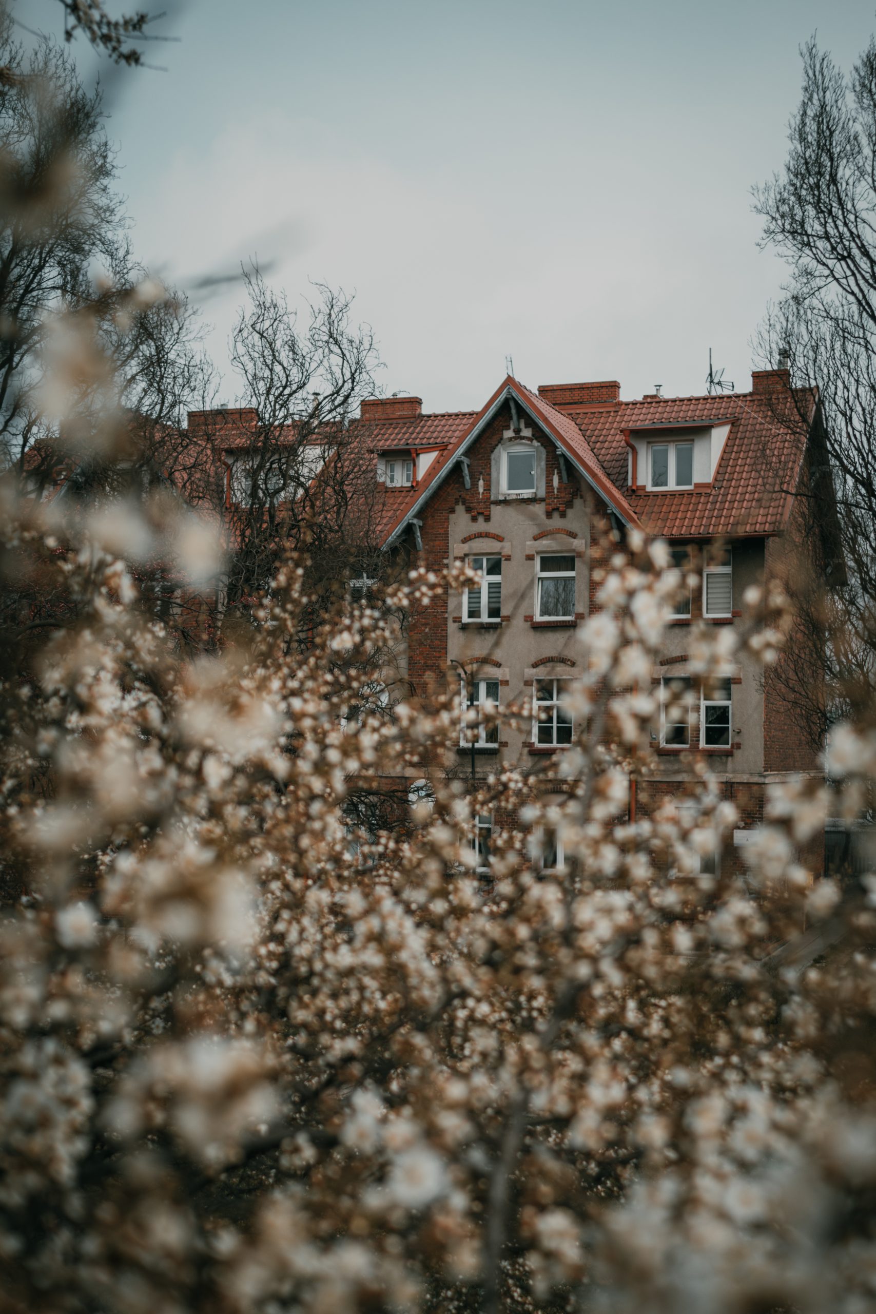 Spring in Gdansk, Poland