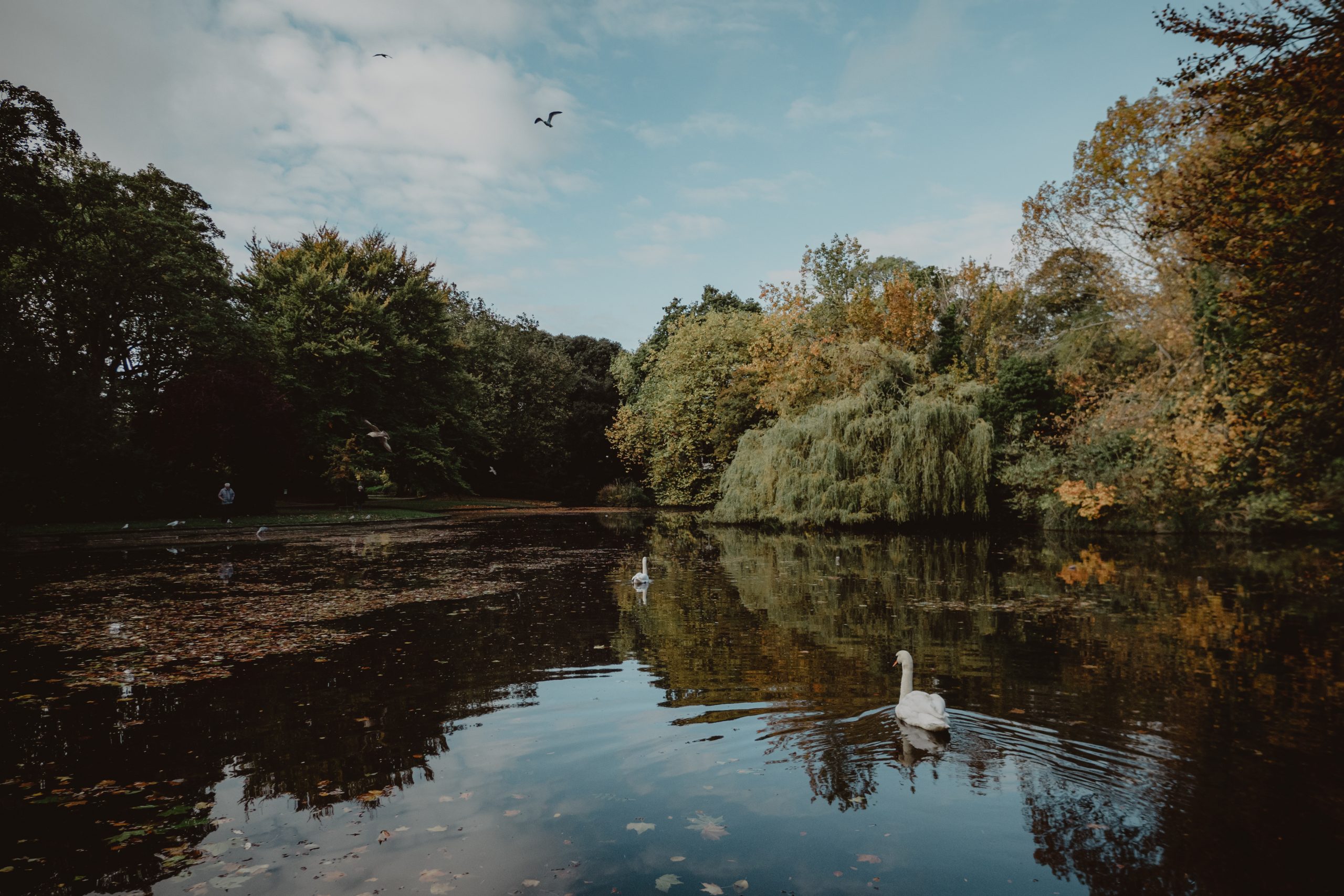 St Stephen's Green Park