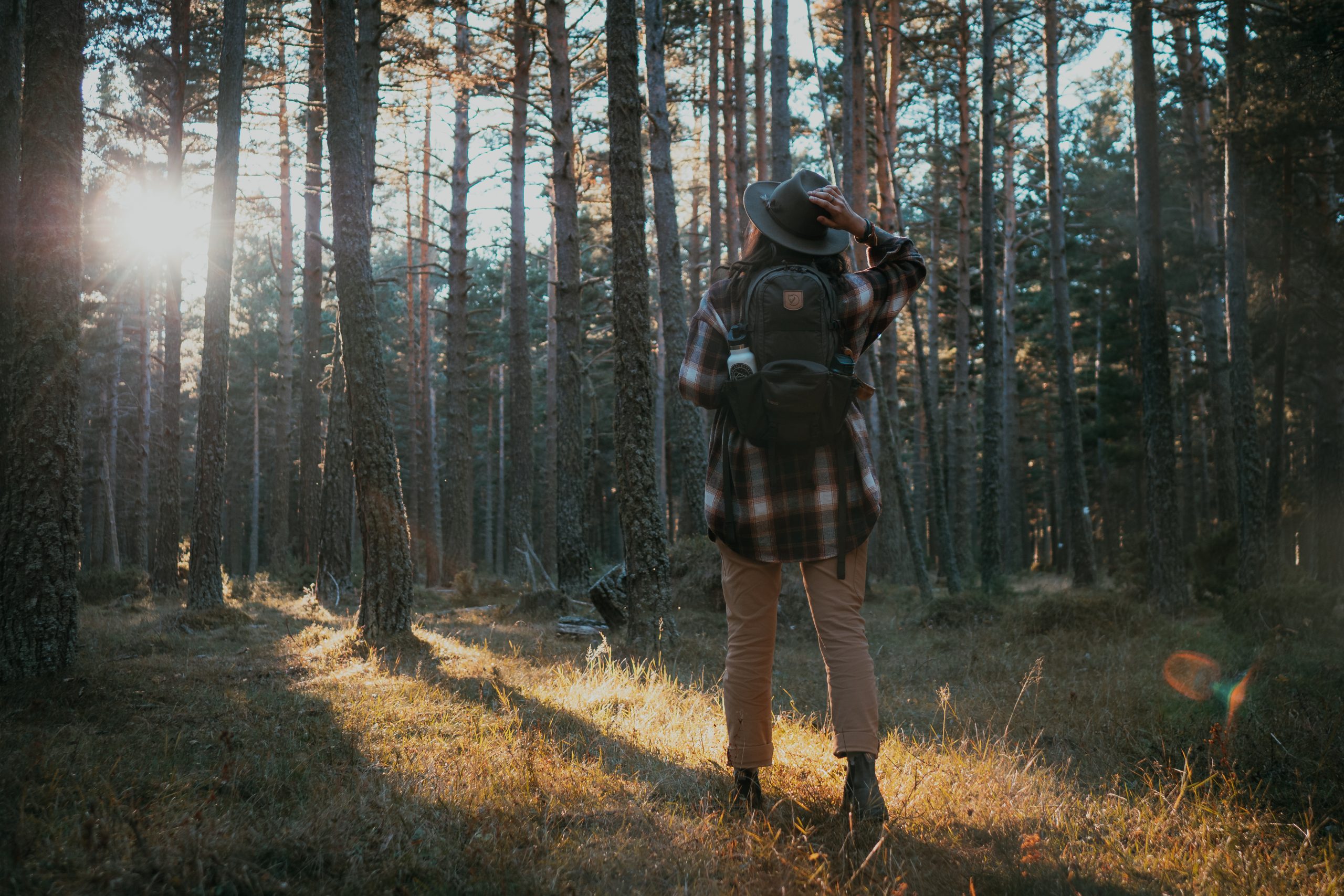 Grain & Fern Golden Hour Preset