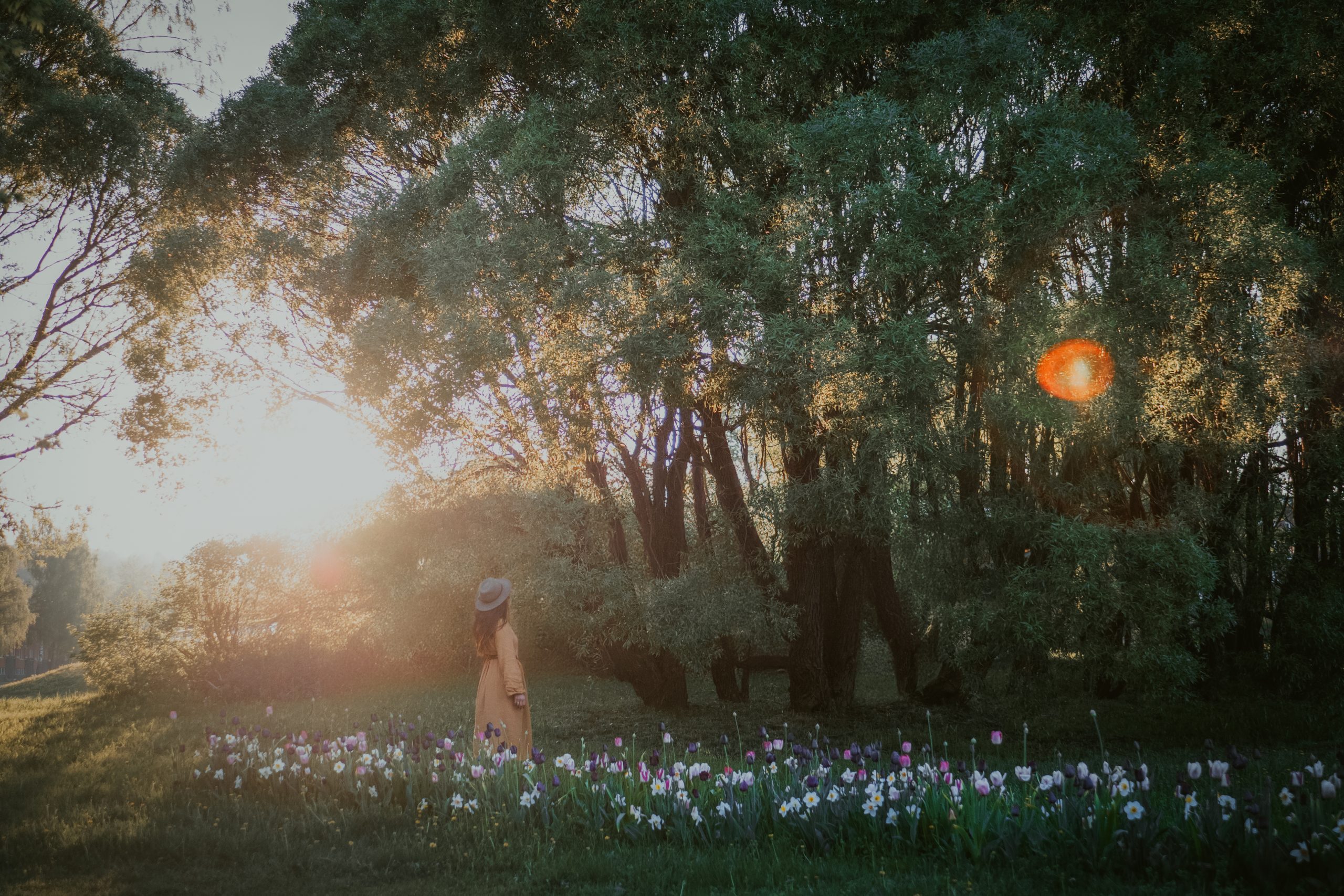 woman in a yellow dress in sunset amongst tulips