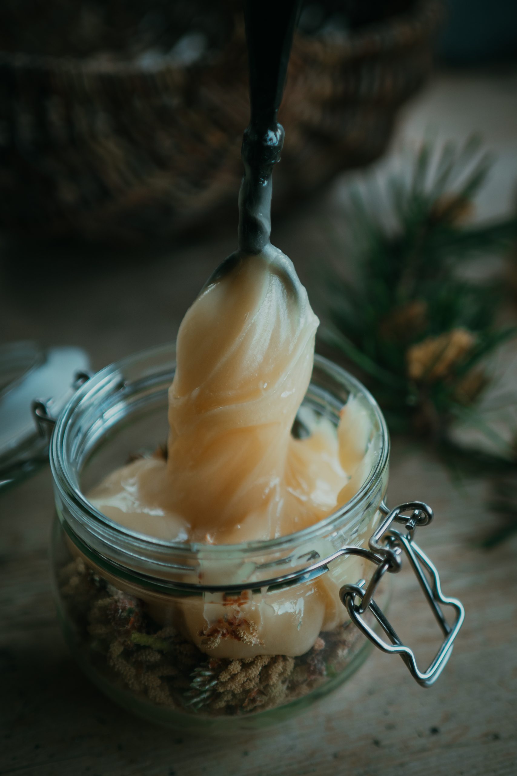 honey fermented pine shoots