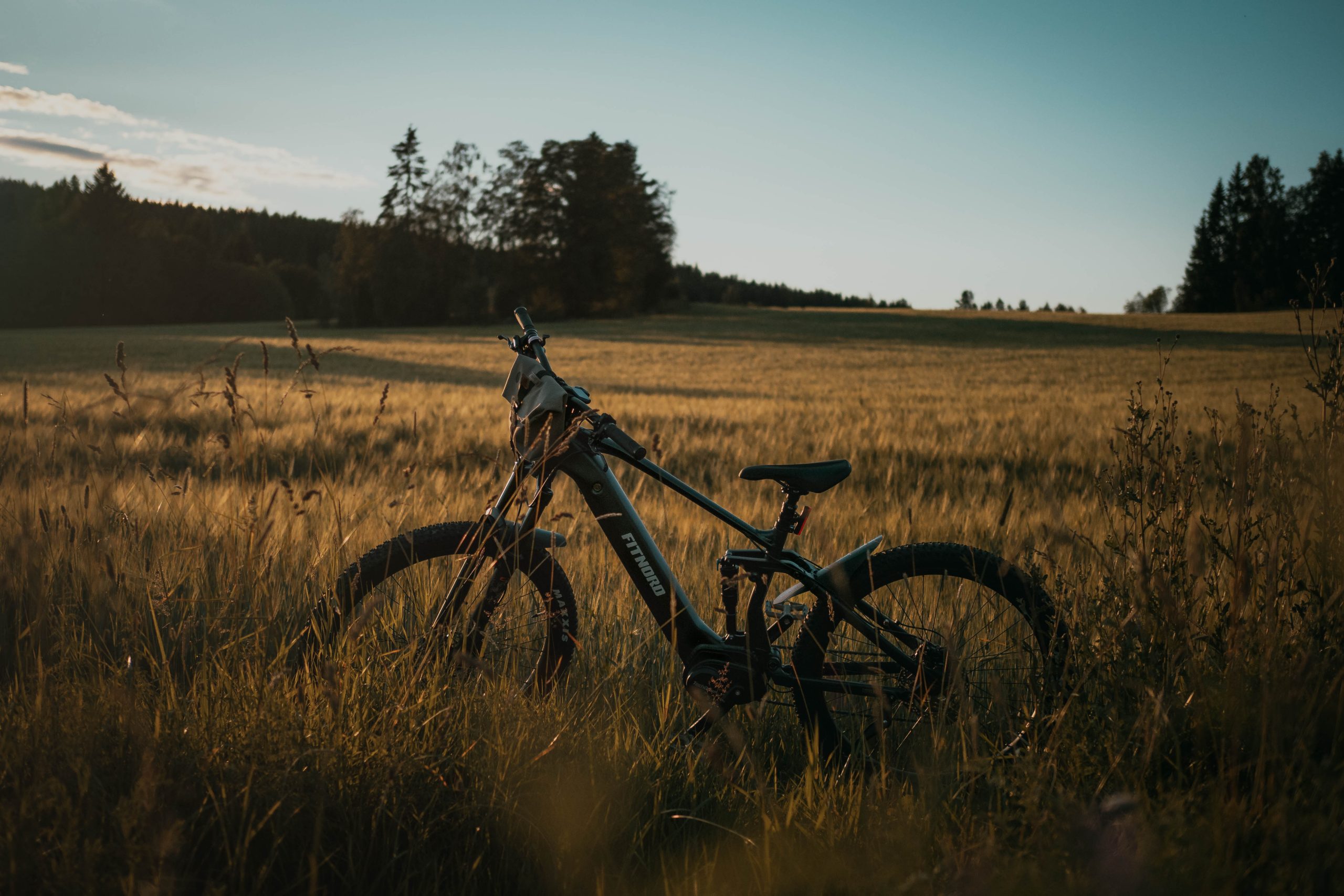 FitNord Ranger on a sunny field