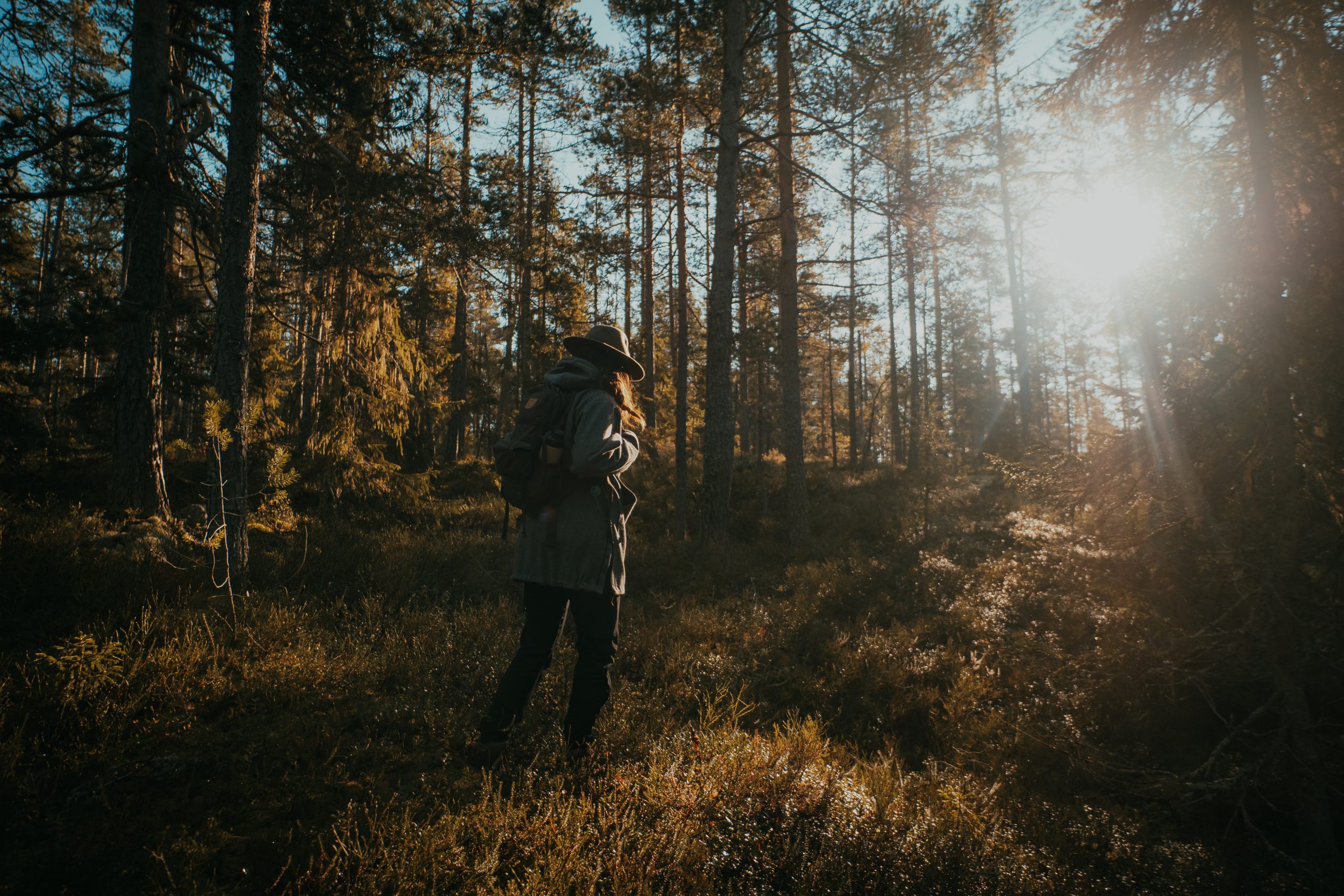 woman walking through a sunny forest