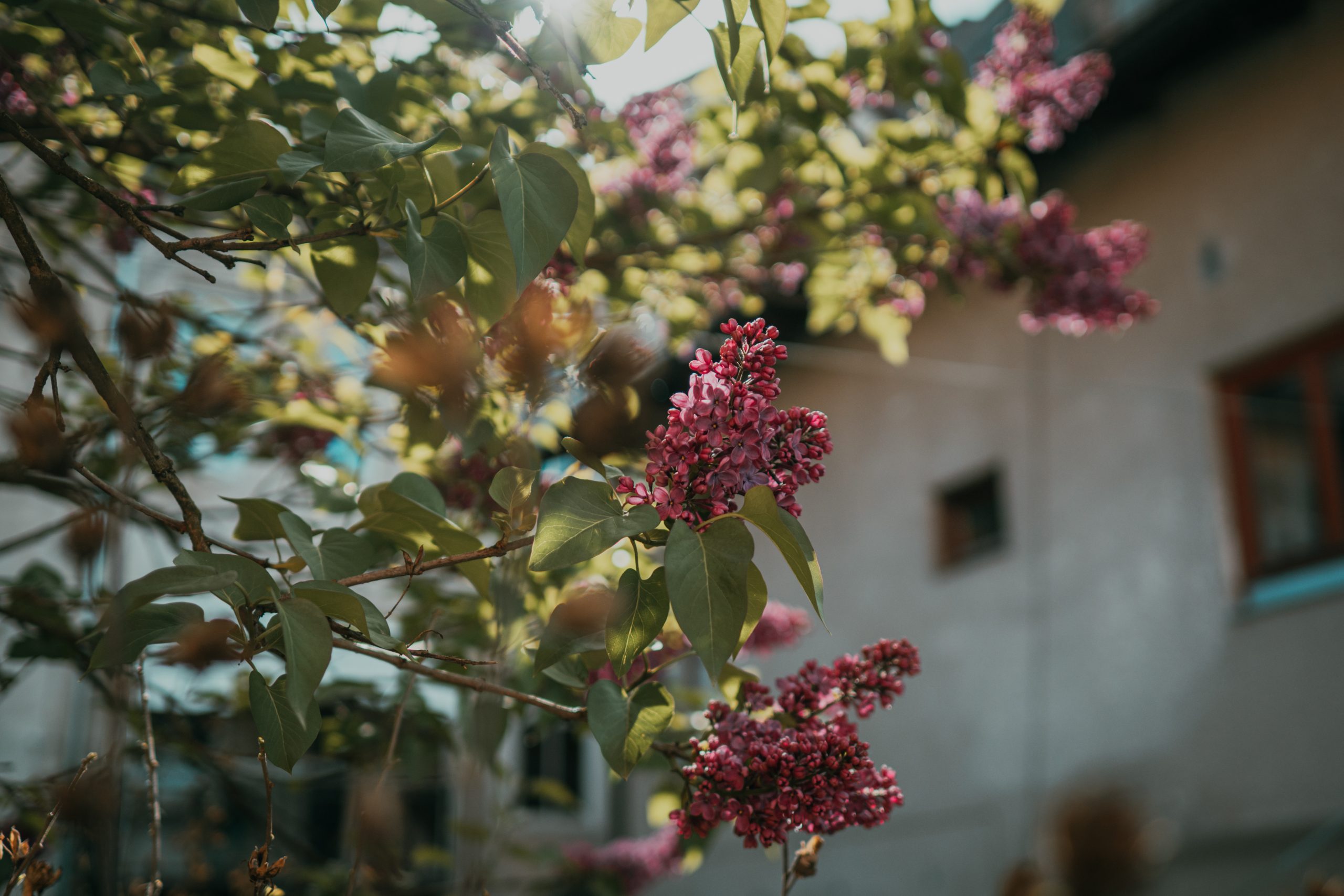 Exploring Slovenia with the OM-3