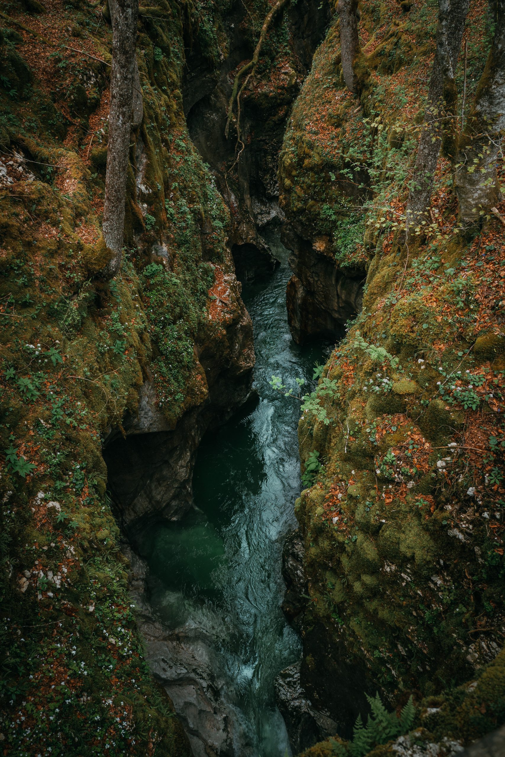 Exploring Slovenia with the OM-3