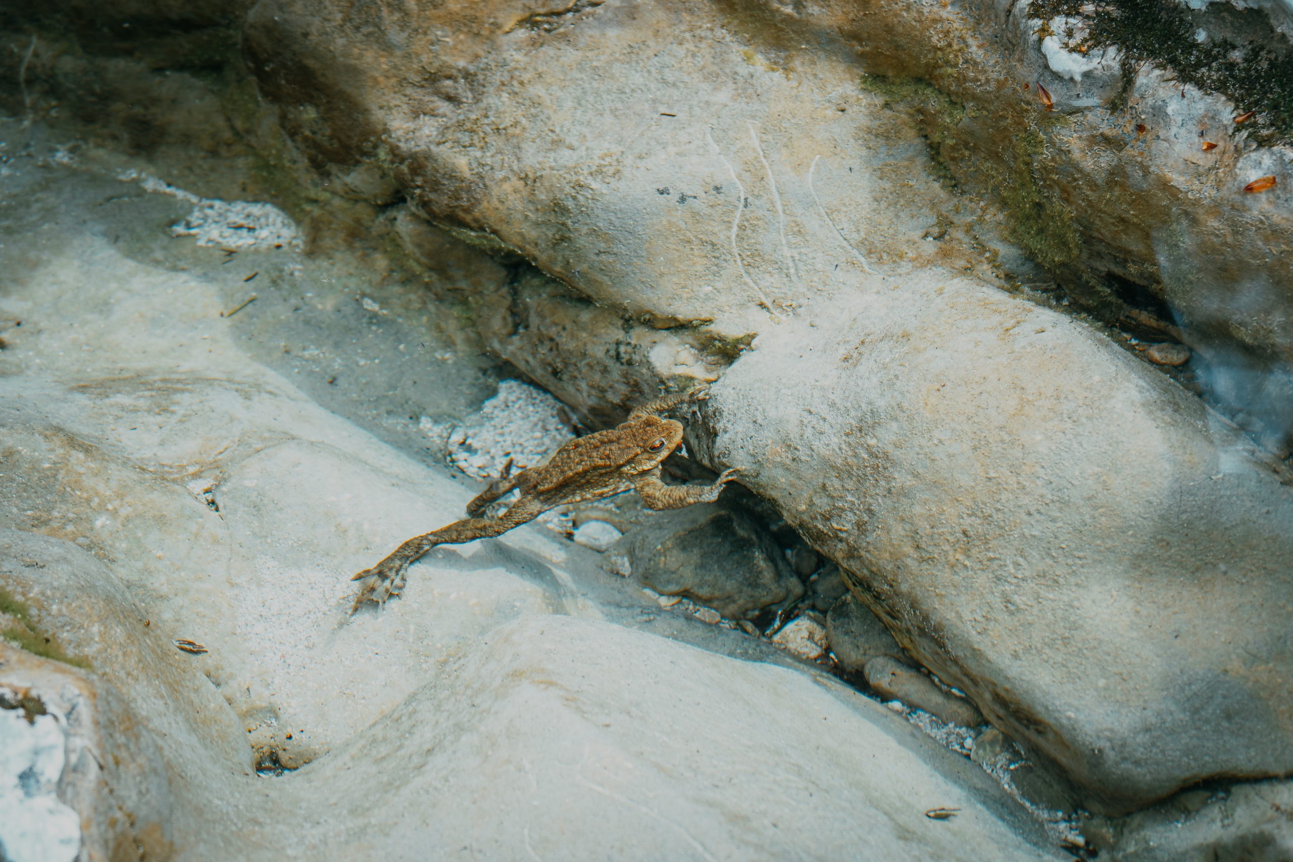 Exploring Slovenia with the OM-3