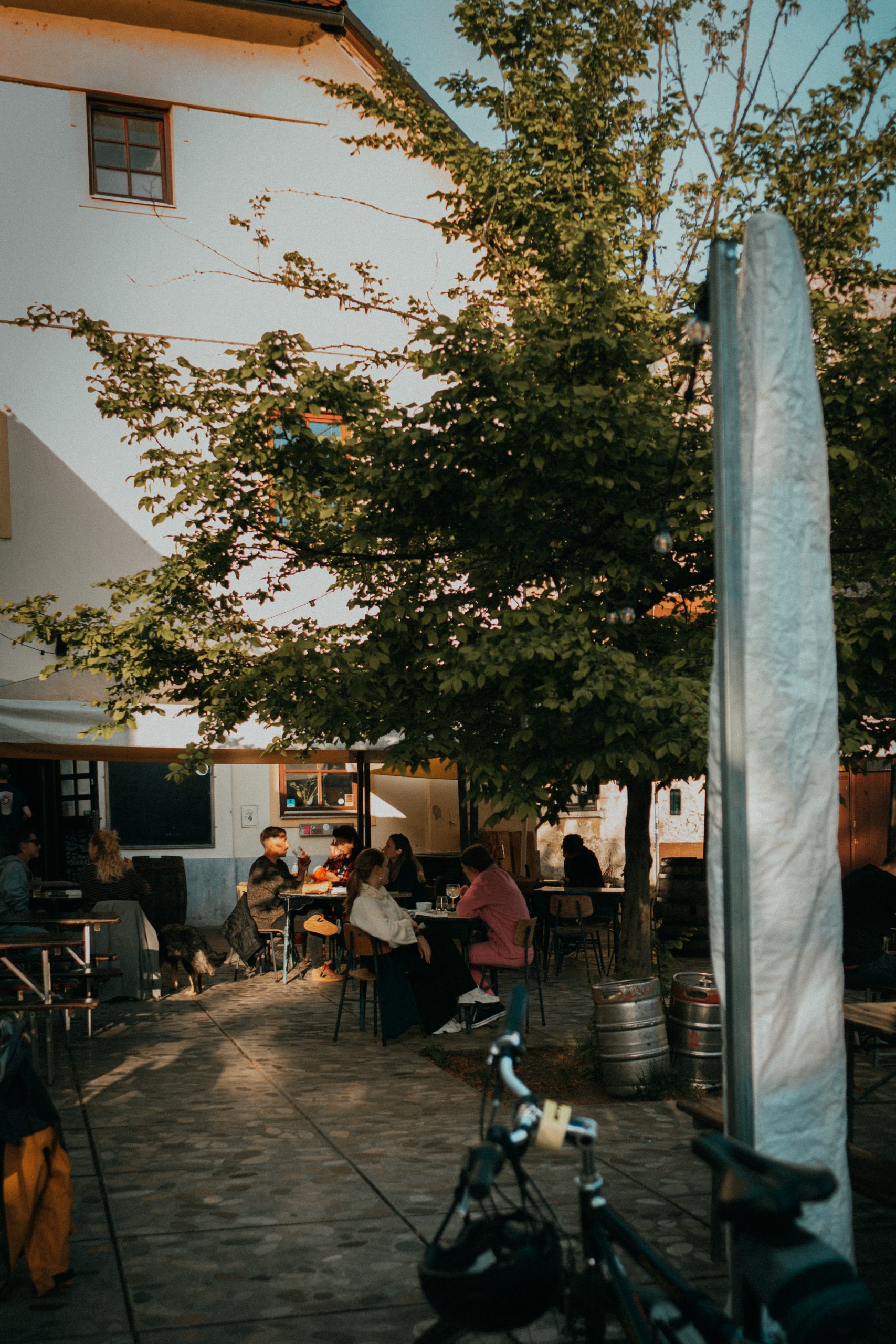 Exploring Slovenia with the OM-3